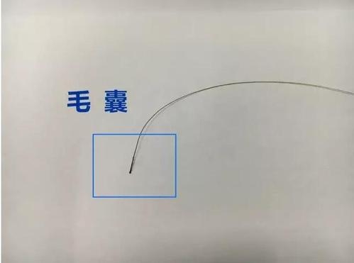 想做個人親子鑒定，頭發(fā)可以鑒定嗎？